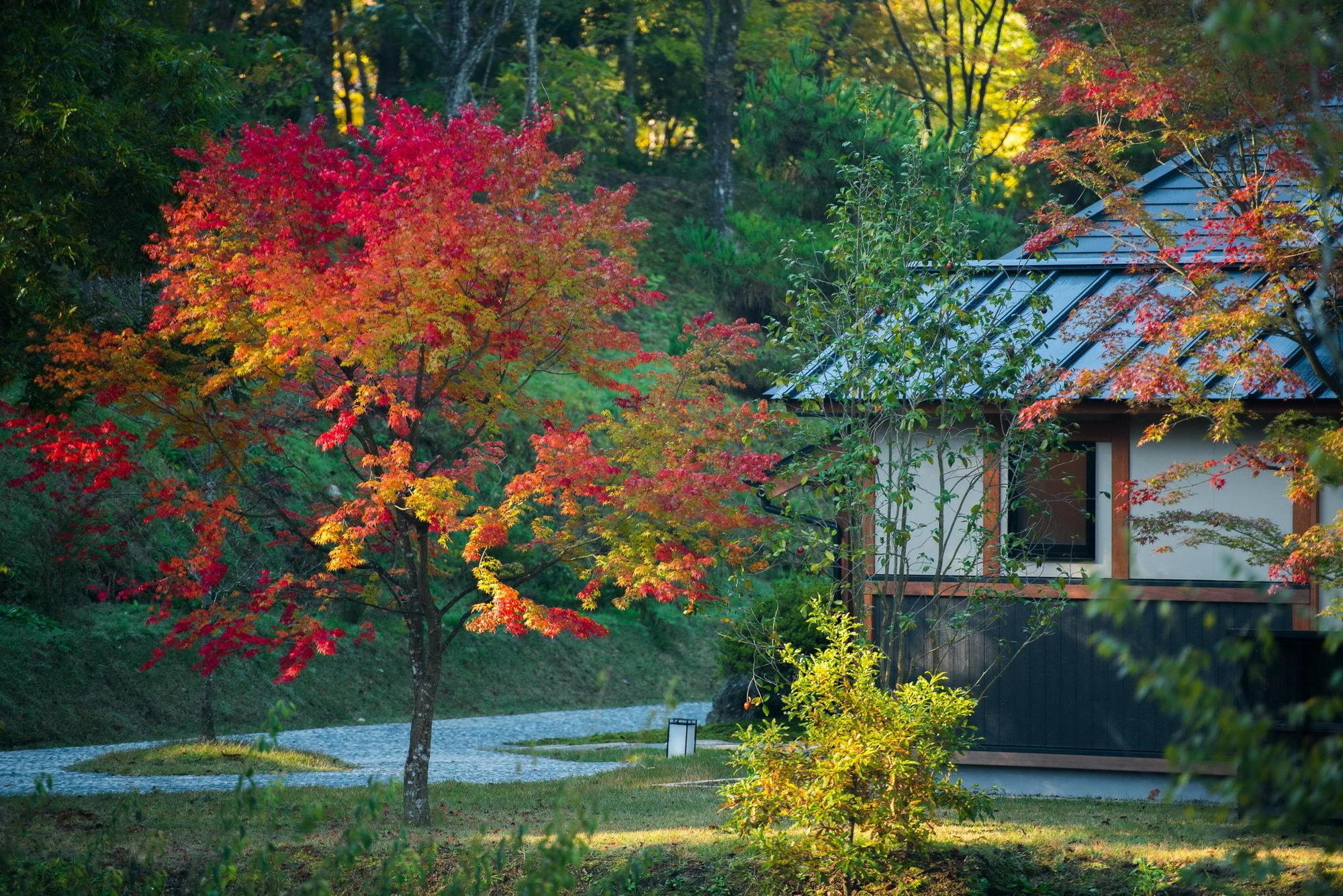 Miyama Sansou Hotel Minamioguni Luaran gambar