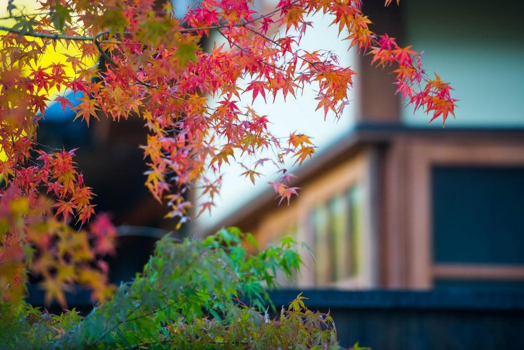 Miyama Sansou Hotel Minamioguni Luaran gambar